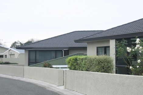 Photo of property in 58e Guppy Road, Greenmeadows, Napier, 4112