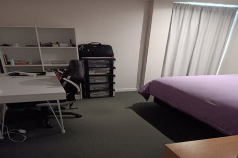 Photo of property in Republic Apartments, 2c/11 Tennyson Street, Te Aro, Wellington, 6011