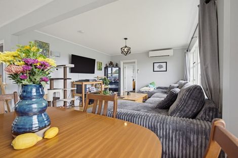Photo of property in 132 Spinley Street, Te Awamutu, 3800