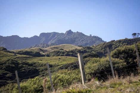 Photo of property in 1517 Whaanga Road, Raglan, 3296