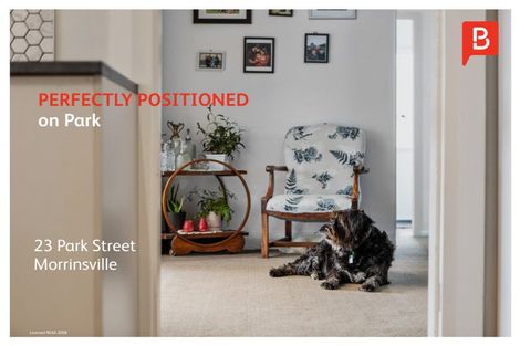 Photo of property in 23 Park Street, Morrinsville, 3300