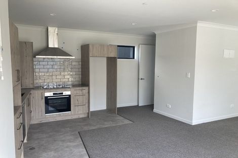 Photo of property in 1/3 Dowding Street, Melville, Hamilton, 3206