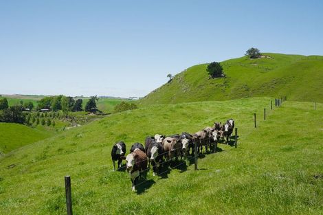 Photo of property in 759 State Highway 1, Wairakei, Taupo, 3384