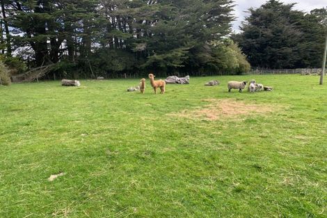 Photo of property in 524 Ngamoko Road, Norsewood, 4974