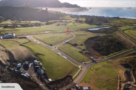 Photo of property in 7 Powhiri Place, Wharekaho, Whitianga, 3510