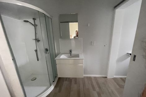 Photo of property in 28 Macdonald Crescent, Te Aro, Wellington, 6011