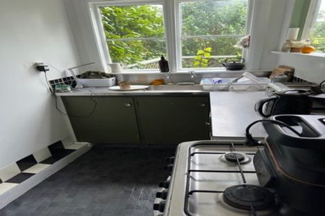 Photo of property in 59 Hankey Street, Mount Cook, Wellington, 6011