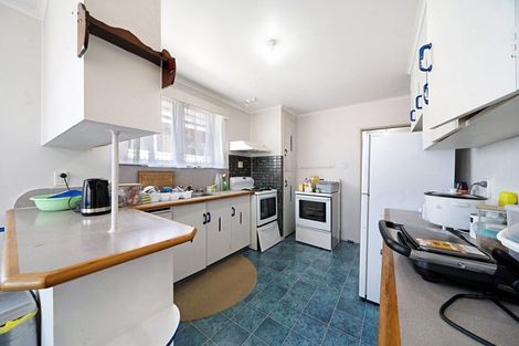 Photo of property in 119 Universal Drive, Henderson, Auckland, 0610