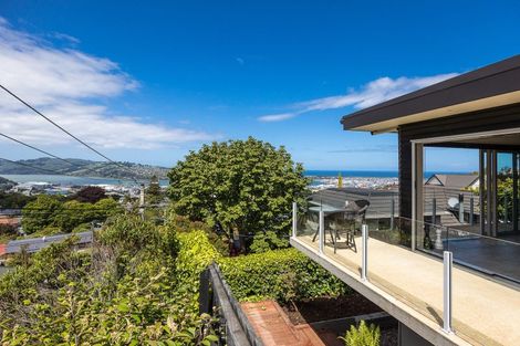 Photo of property in 10 Garfield Avenue, Roslyn, Dunedin, 9010