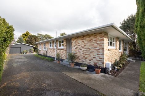 Photo of property in 53 Wyndham Street, Ashhurst, 4810