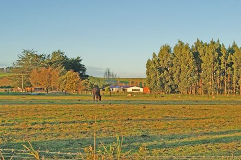 Photo of property in 161 Edinburgh Street, Waikouaiti, 9510