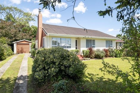 Photo of property in 5 Sholson Street, Putaruru, 3411