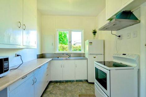 Photo of property in 45 Pacific Street, Roslyn, Dunedin, 9010