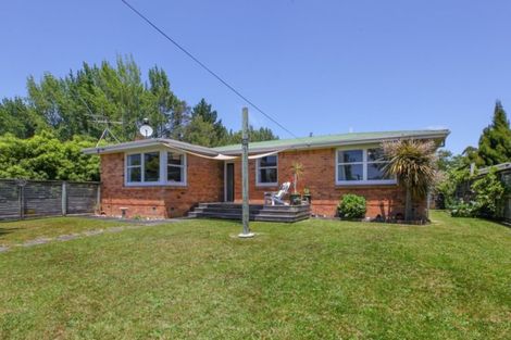 Photo of property in 149 Rimu Street, Maeroa, Hamilton, 3200