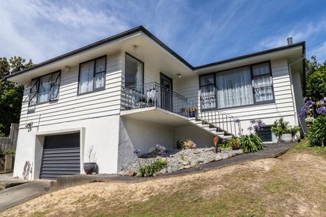 Photo of property in 101 Kenmore Street, Newlands, Wellington, 6037