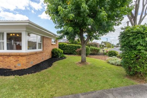 Photo of property in 115 Fitzroy Avenue, Fitzroy, Hamilton, 3206