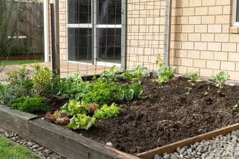 Photo of property in 6/100 Millers Road, Brookfield, Tauranga, 3110