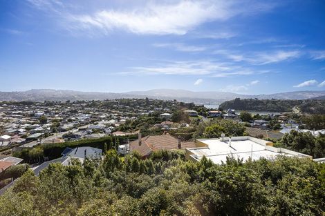 Photo of property in 14 Te Ra Terrace, Tainui, Dunedin, 9013