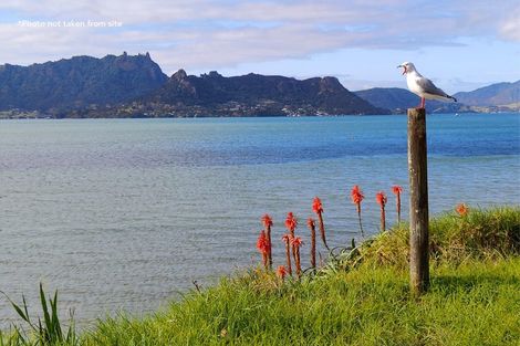Photo of property in 25 Te Piriti Road, One Tree Point, 0118
