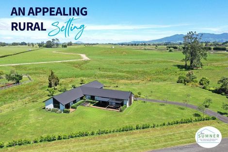 Photo of property in 133 Robson Road, Ngahinapouri, Hamilton, 3290