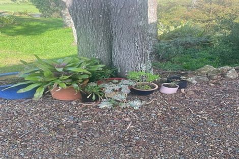 Photo of property in 47 Orchard Lane, Mangawhai, Kaiwaka, 0573