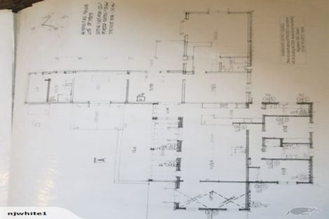 Photo of property in 44 Rands Road, Fernside, Rangiora, 7471