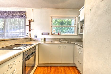 Photo of property in 105 Rimu Street, Maeroa, Hamilton, 3200