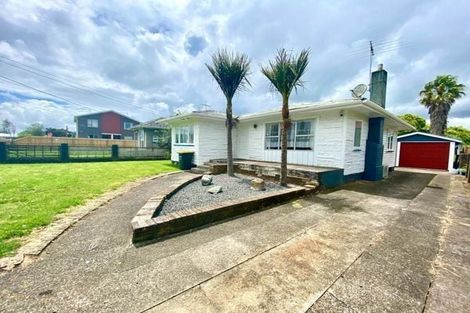 Photo of property in 60 Princes Street, Pukekohe, 2120