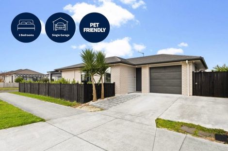 Photo of property in 51 Tawhiti Road, Pukekohe, 2120