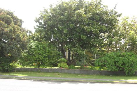 Photo of property in 170 Ingestre Street, Whanganui, 4500