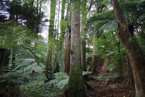 Photo of property in 4 Linthorpe Place, Hillcrest, Hamilton, 3216