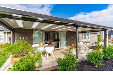 Photo of property in 6 Park Rise, Mangawhai Heads, Mangawhai, 0505