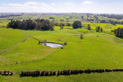 Photo of property in 103 Partridge Road, Wellsford, 0973