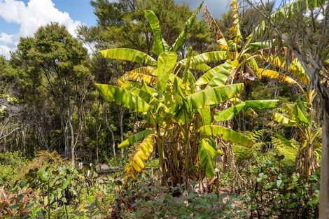 Photo of property in 33 Hihitahi Rise, Paihia, 0200