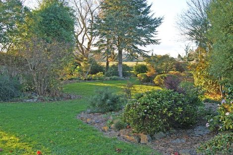 Photo of property in 161 Edinburgh Street, Waikouaiti, 9510