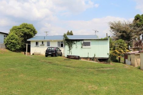 Photo of property in 32 Clothier Street, Putaruru, 3411