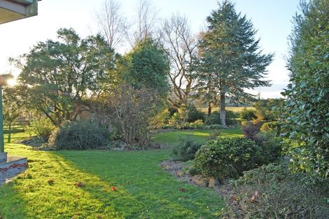 Photo of property in 161 Edinburgh Street, Waikouaiti, 9510