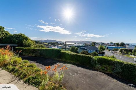 Photo of property in 53 Mailer Street, Mornington, Dunedin, 9011