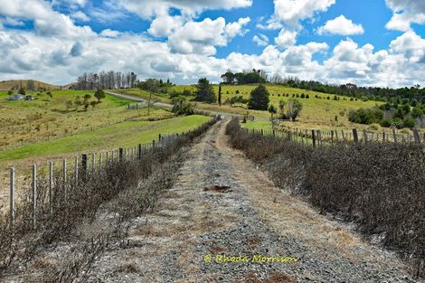 Photo of property in 196 Metcalfe Road, Matakohe, 0593