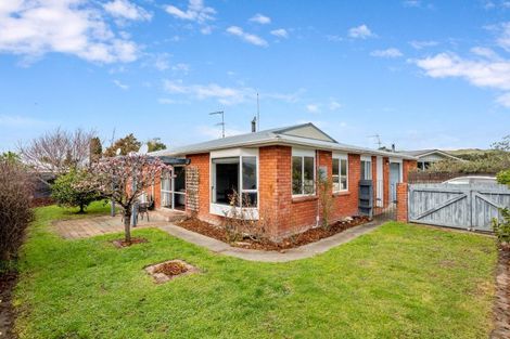 Photo of property in 29 Arthur Baker Place, Redwoodtown, Blenheim, 7201