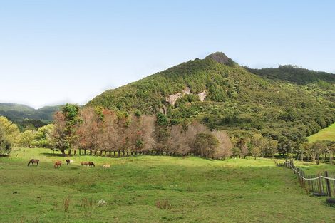 Photo of property in 153 Baldrock Road, Brynderwyn, Maungaturoto, 0587