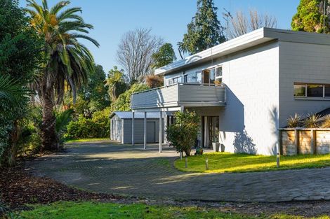 Photo of property in 41 Wellesley Grove, Gate Pa, Tauranga, 3112