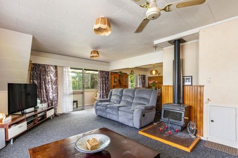 Photo of property in 12 Hirangi Road, Turangi, 3334