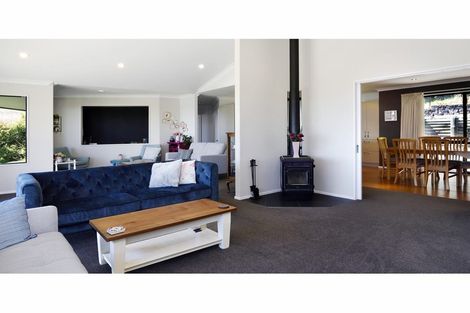 Photo of property in 41 Park Drive, Richmond, 7020