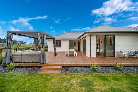 Photo of property in 155 Metehau Street, Marshland, Christchurch, 8083