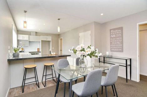 Photo of property in 9b Amstel Lane, Richmond, Christchurch, 8013