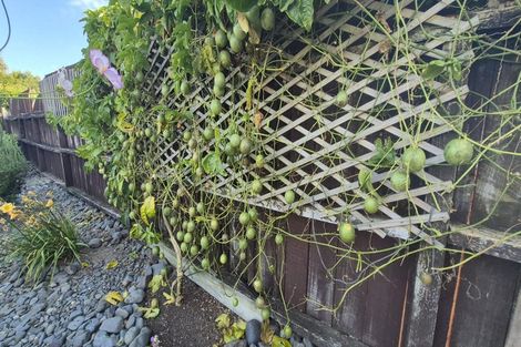 Photo of property in 6 Belgravia Place, Tokoroa, 3420