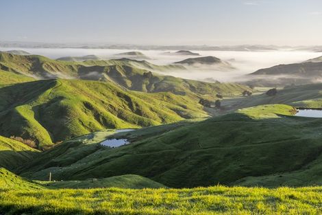 Photo of property in 425 Daggs Road, Bideford, Masterton, 5882