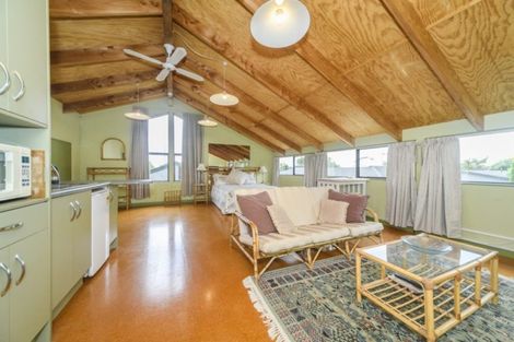 Photo of property in 109a Vogel Street, Roslyn, Palmerston North, 4414