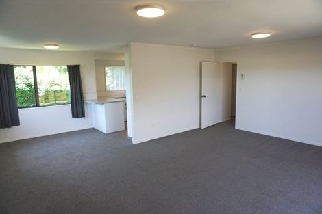 Photo of property in 11c Otumoetai Road, Judea, Tauranga, 3110